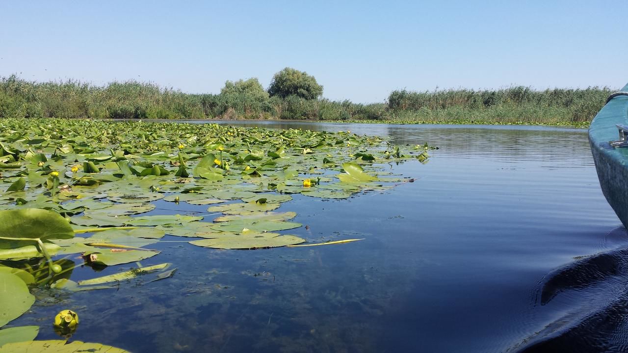 Загородные дома La Raducu Chilia Veche-18