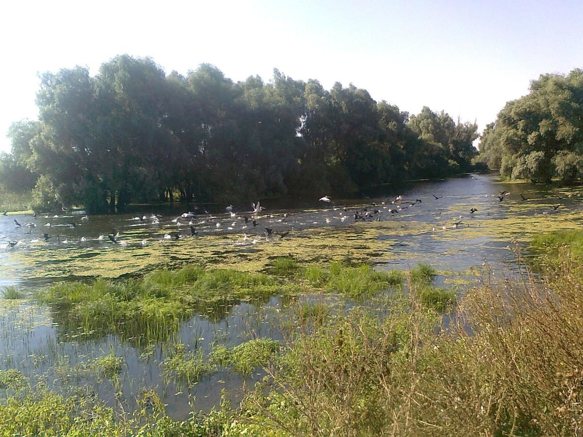 Загородные дома La Raducu Chilia Veche-32