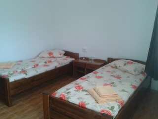Загородные дома La Raducu Chilia Veche Двухместный номер с 2 отдельными кроватями-1
