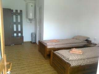 Загородные дома La Raducu Chilia Veche Двухместный номер с 2 отдельными кроватями-2
